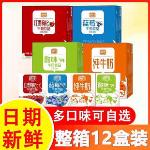 风行牛奶纯牛奶200mI*12盒红枣枸杞蓝莓味学生营养餐牧场整箱批发