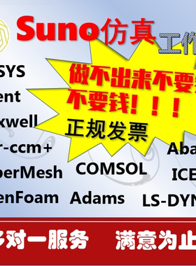 代做Ansys/Comsol/Adams/Fluent/Abaqus Maxwell仿真Lsdyna有限元