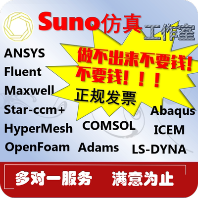 代做Ansys/Comsol/Adams/Fluent/Abaqus Maxwell仿真Lsdyna有限元