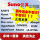 代做Ansys/Comsol/Adams/Fluent/Abaqus Maxwell仿真Lsdyna有限元