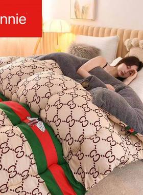 Winter Warm Quilt Duvet Flannel Blanket Cozy Plush Comforter