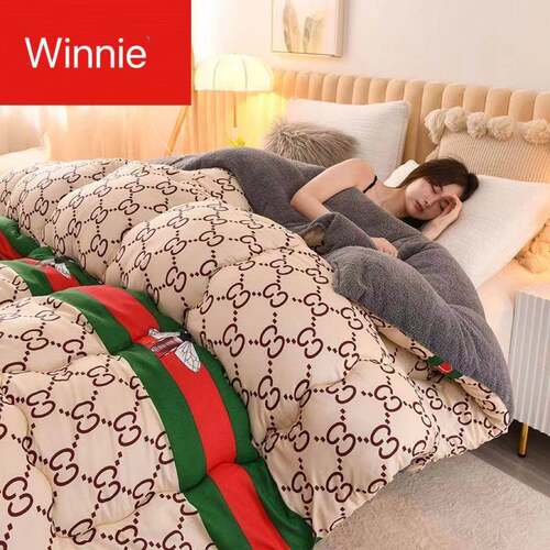Winter Warm Quilt Duvet Flannel Blanket Cozy Plush Comforter