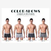 Cotton Boxer Boxers Men Sexy Underpants Underwear Shorts