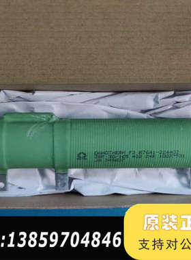 DANOTHERM电阻ZRF30/165 402 24R议价