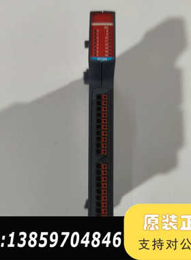 TRIO翠欧P377模块Flexslice IN16N，议价