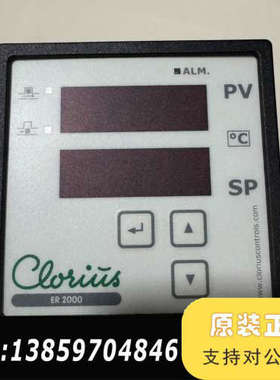 ER2000 PT100电子式温度控制器4-230VAC议价