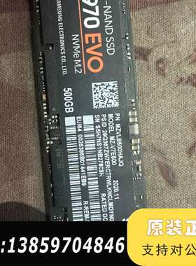 970EVO 500G固态硬盘议价