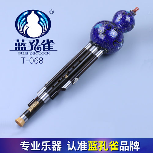 蓝孔雀葫芦丝学习降B调民族乐器