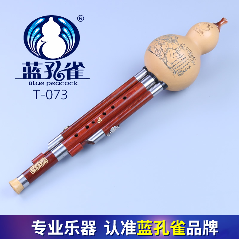 蓝孔雀葫芦丝品牌演奏降B调红木