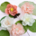 Китайский стиль классной комнаты детского сада Huanchuang lotus душ из листьев лотоса diy сушеный цветок бумажный цветок украшение стен макет окружающей среды mini 1