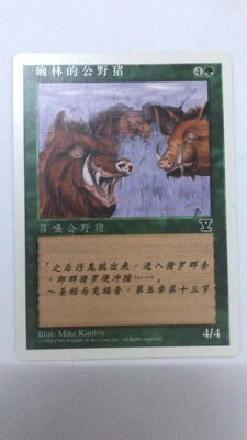 万智牌 确林的公野猪 第五版 普 铁 绿 卡 简中实拍 上海文波 MTG