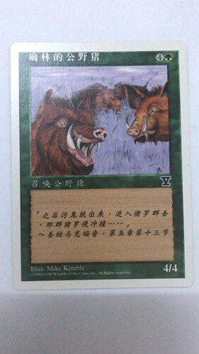 万智牌 确林的公野猪 第五版 普 铁 绿 卡 简中实拍 上海文波 MTG