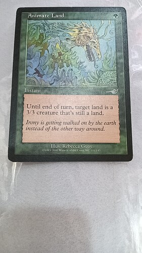 赋予地生命 万智牌 Animate Land 宿敌 绿 银 实拍 上海文波 MTG