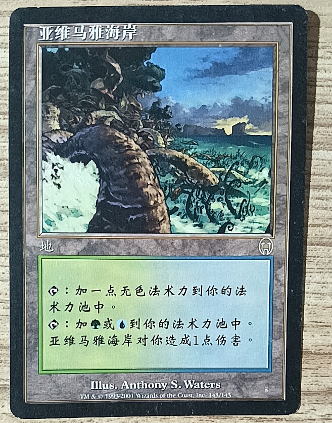 万智牌 启示录 亚维马雅海岸 金 地 简中 实拍 上海文波