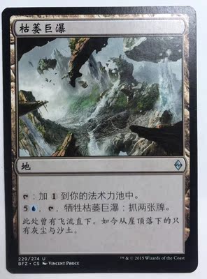 万智牌 枯萎巨瀑 再战赞迪卡 地 银 简中实拍 上海文波