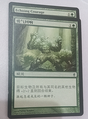 万智牌 勇气回响  Echoing Courage