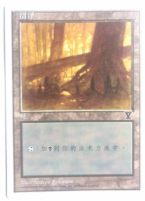 万智牌 沼泽 第五版 普 铁 地 基本地 简中 实拍【上海文波】MTG