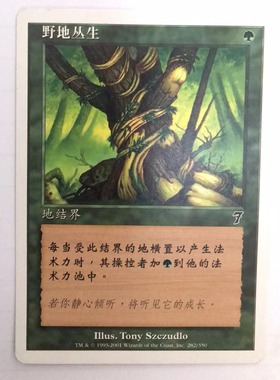万智牌 野地丛生 第七版 绿 普 铁 简中实拍 桌游卡 上海文波 MTG