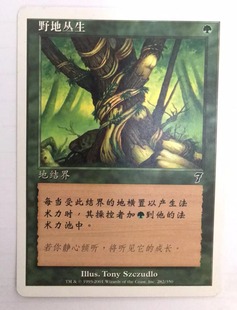 万智牌 野地丛生 第七版 绿 普 铁 简中实拍 桌游卡 上海文波 MTG