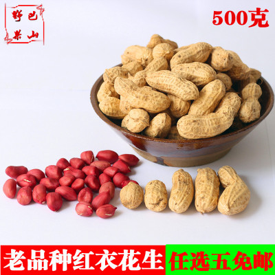 红衣花生带壳落花生恩施土特产