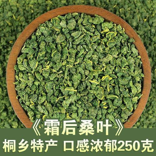 霜桑叶茶桐乡特产直销