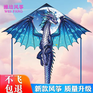 龙形风筝儿童微风易飞2024年新款纸鸢潍坊小孩专用迷你品牌小凤争