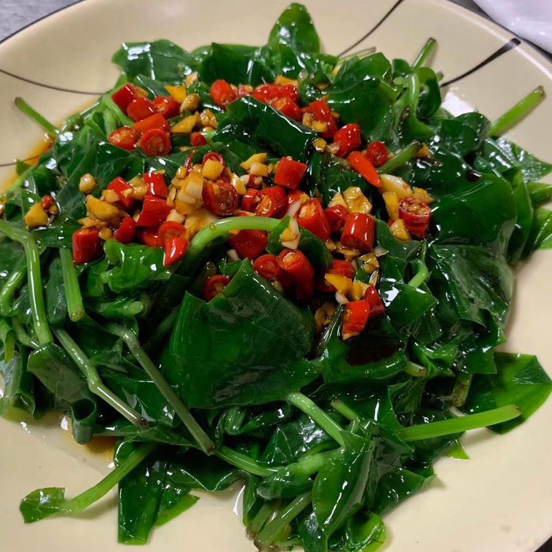 广西野菜特色菜细茎石斛苗产地直销当天采摘当天极速发货翡翠石斛