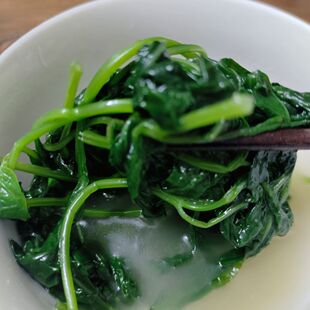 血通菜苗绿线叶宽叶十万错铁打草盗偷草四季野菜当季火锅蔬菜挂墙