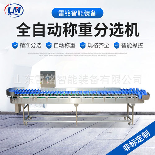 马哈鱼料盒分选机黄花三文鱼块称重分级机大型海产品分选加工设备