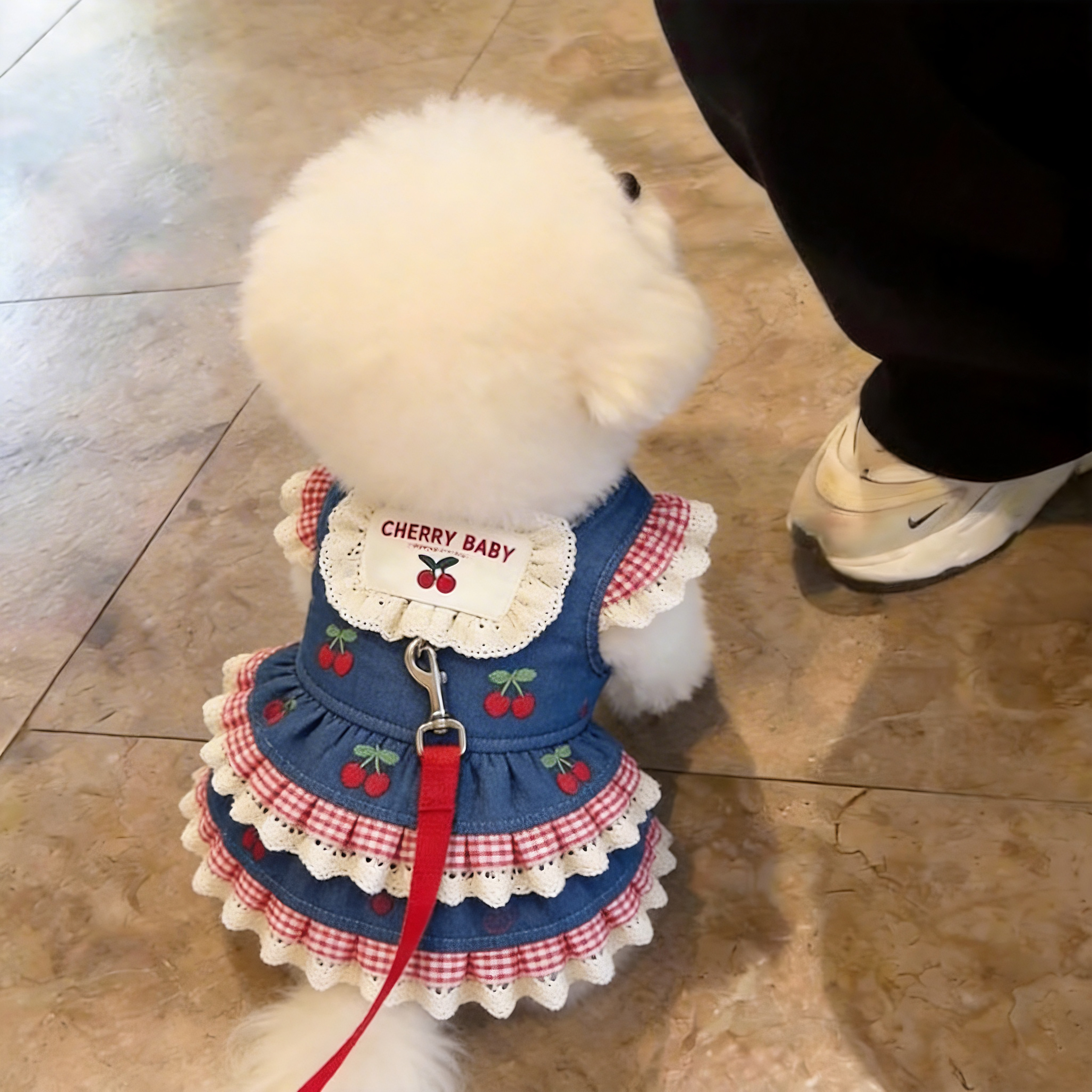 狗狗衣服樱桃牛仔牵引裙薄款公主裙小型犬胸背猫咪泰迪宠物防掉毛
