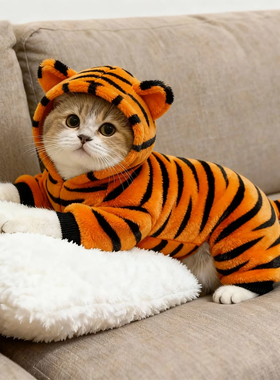猫咪衣服可爱老虎变身装冬天保暖加绒德文英短金渐层小猫猫防掉毛