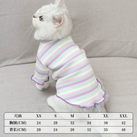 Светлая радужная футболка