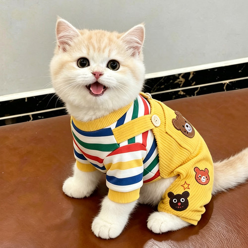 猫咪衣服春秋款防掉毛可牵引宠物