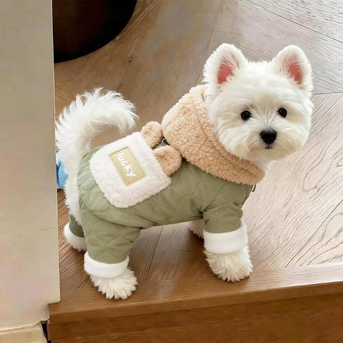 狗狗衣服冬季保暖四脚lucky棉衣泰迪比熊西高地加绒加厚连帽幼犬