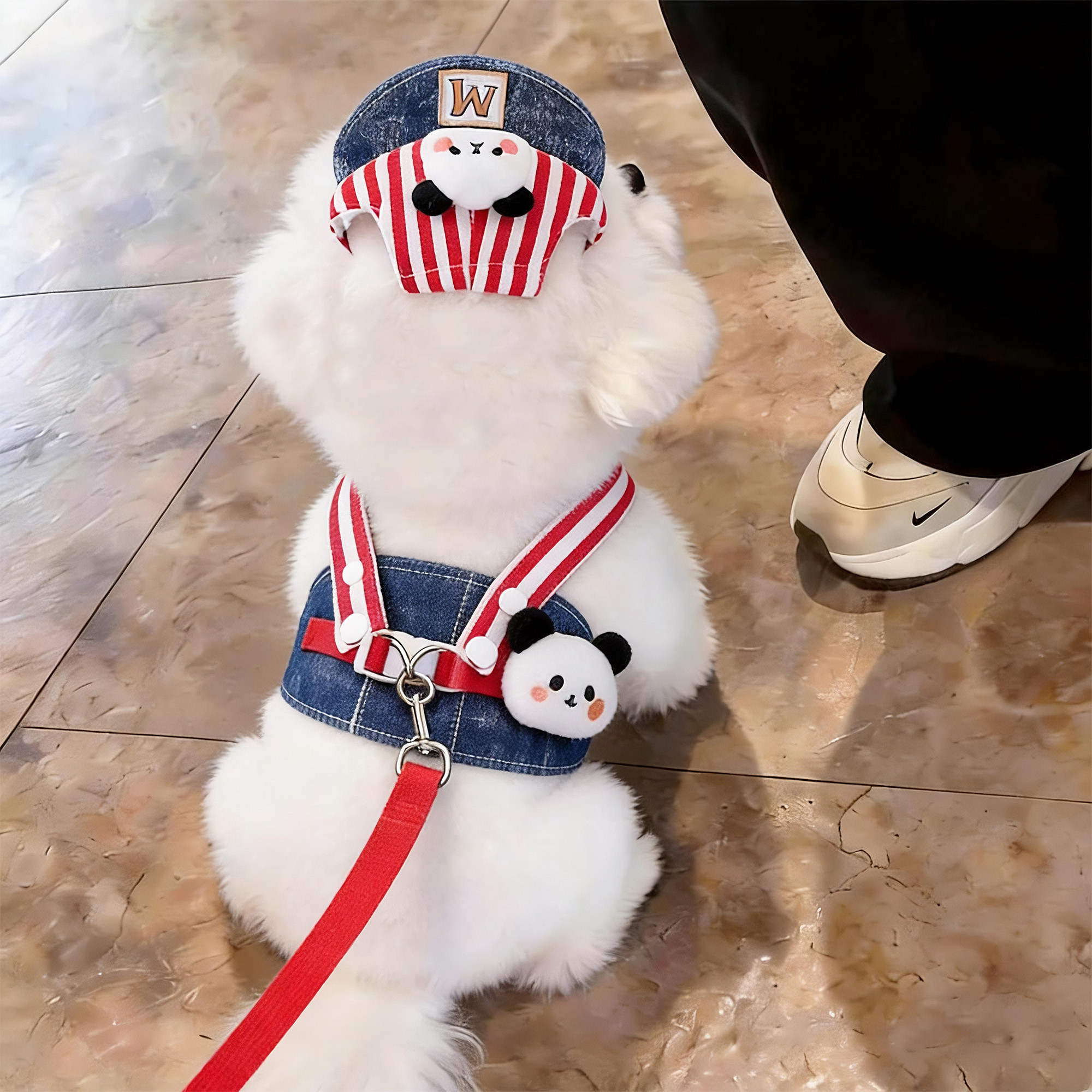 狗狗牵引衣服背心式外出遛狗绳