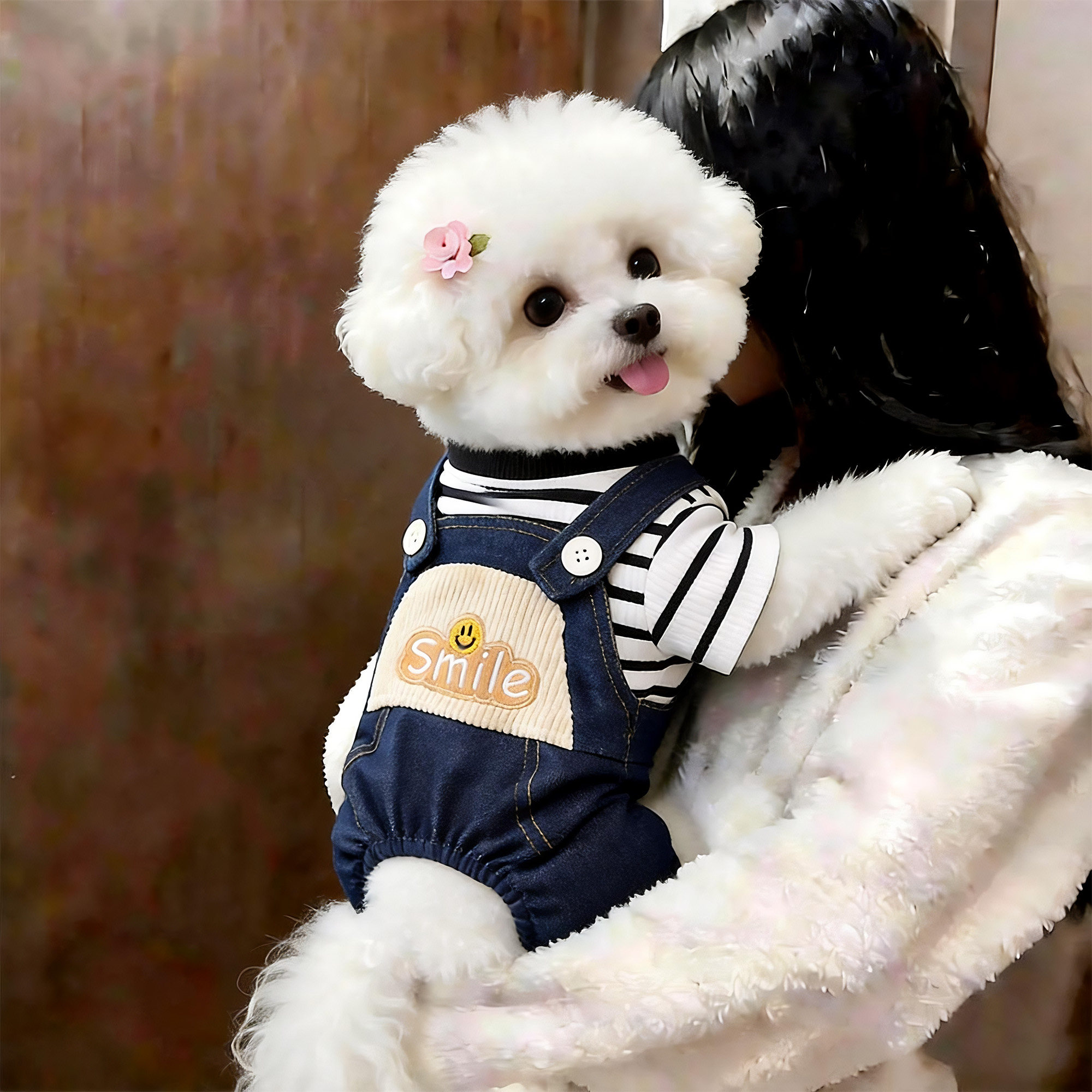 狗狗衣服秋冬季帅气牛仔假两件