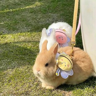 兔子牵引绳防挣脱遛兔子专用防咬遛兔绳小侏儒兔工字绳子宠物用品