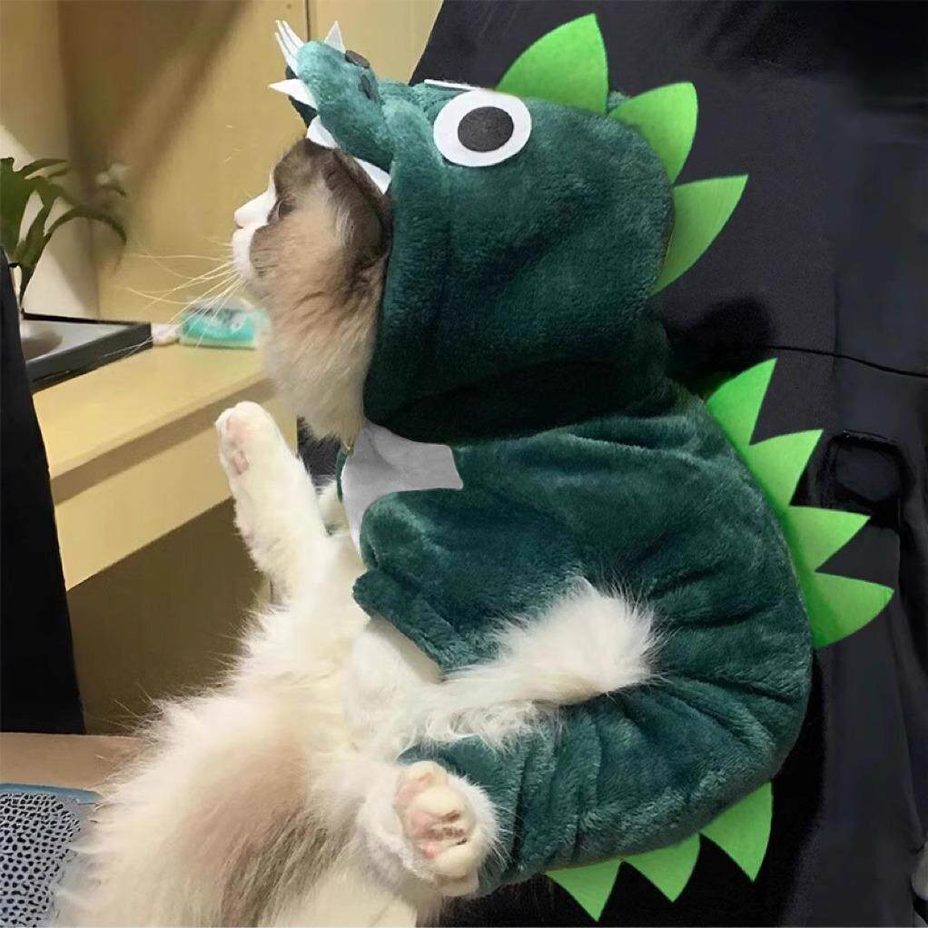 小猫咪衣服法兰绒可爱搞怪恐龙装
