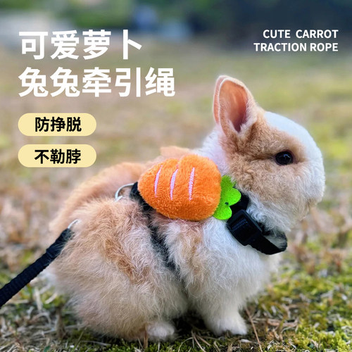 兔子牵引绳遛兔子专用胡萝卜兔绳