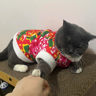 猫咪衣服东北大花冬季保暖新年喜庆棉衣小猫蓝猫过年宠物狗狗唐装