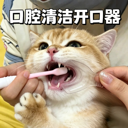 猫咪刷牙辅助器侧边扩口固定器