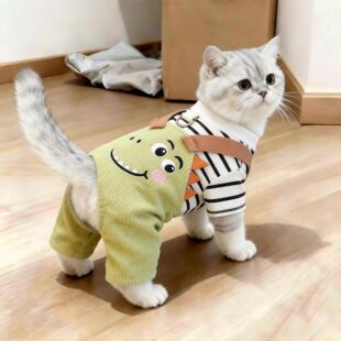 猫咪衣服春秋款卡通恐龙四脚衣银渐层布偶猫中小型犬可牵引背带裤