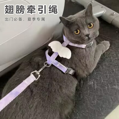 猫咪牵引绳翅膀遛猫绳背心工字绳