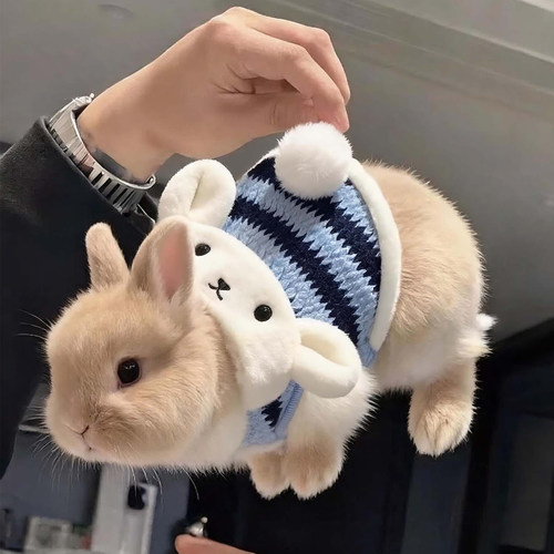 兔兔衣服冬季加绒保暖可爱条纹衣
