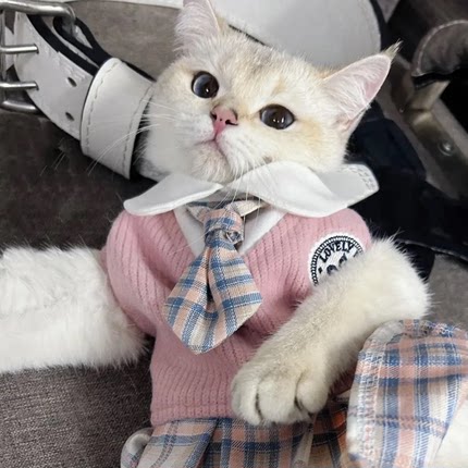 猫咪ik裙子宠物衣服秋冬防掉毛幼猫布偶小猫春季可爱猫猫制服裙子