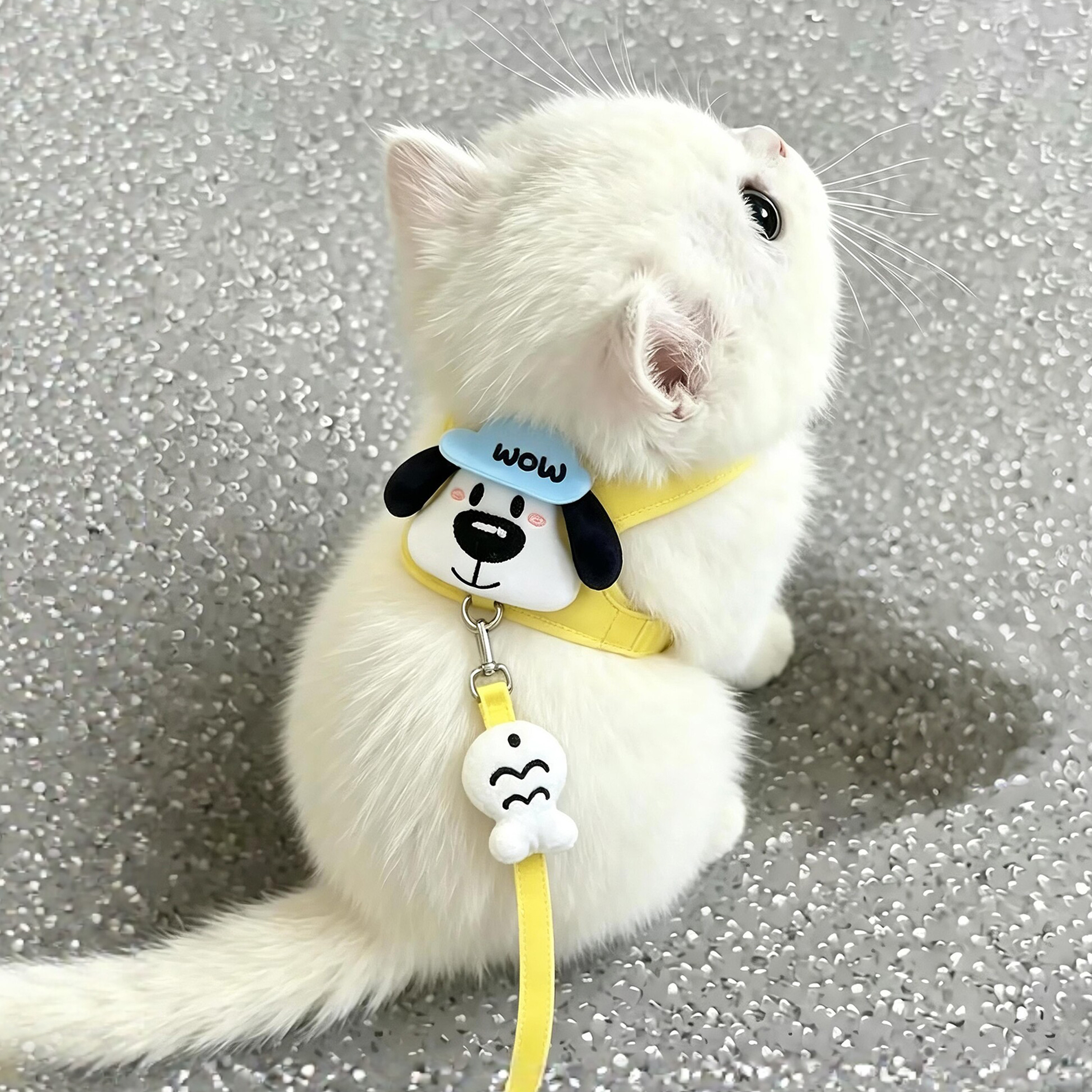 猫咪牵引绳卡通玩偶胸背带春秋季图片
