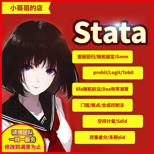 代做stata数据分析服务 sfa随机前沿 did 面板回归  gmm 等