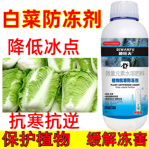 迪旺夫白菜防冻液白菜抗冻防寒剂