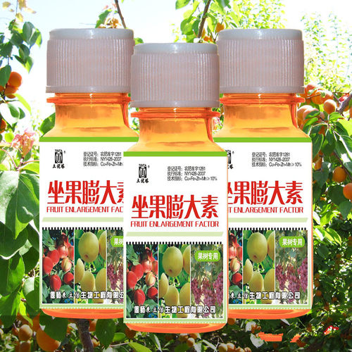 专用梨子樱桃保花保果膨大素