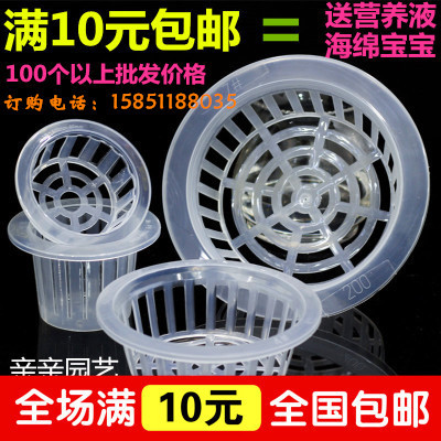 水培植物玻璃花瓶圆形篮绿萝